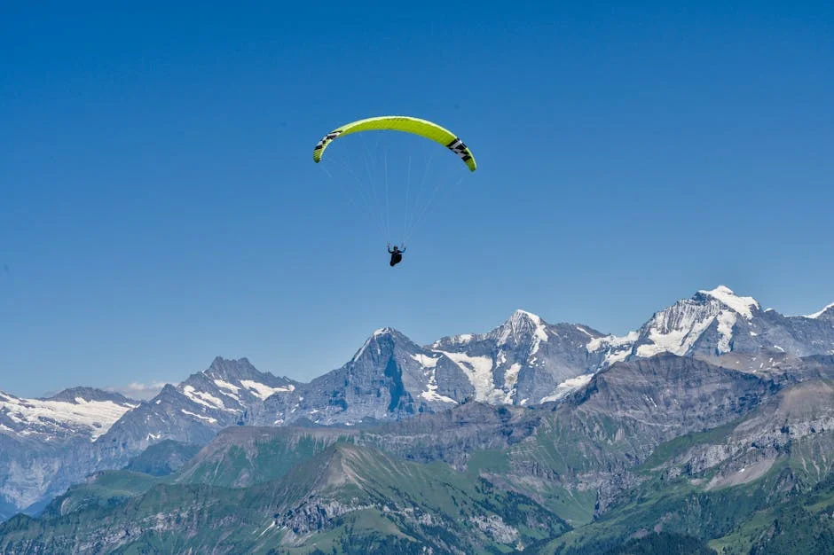 Zuccarello y Trenin Regresan para el Juego 5 — ¿Qué Significa para América Latina? — Beisbol